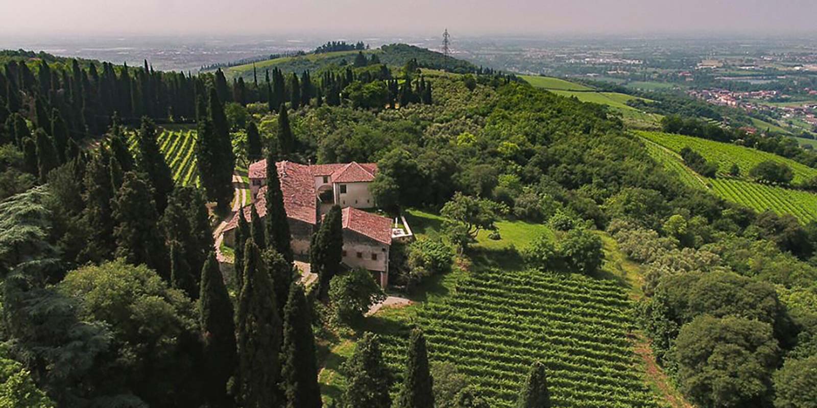 foto aerea della cantina immersa nelle vigne
