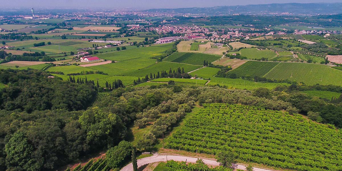 Foto panoramica della tenuta Villa San Carlo verso Verona