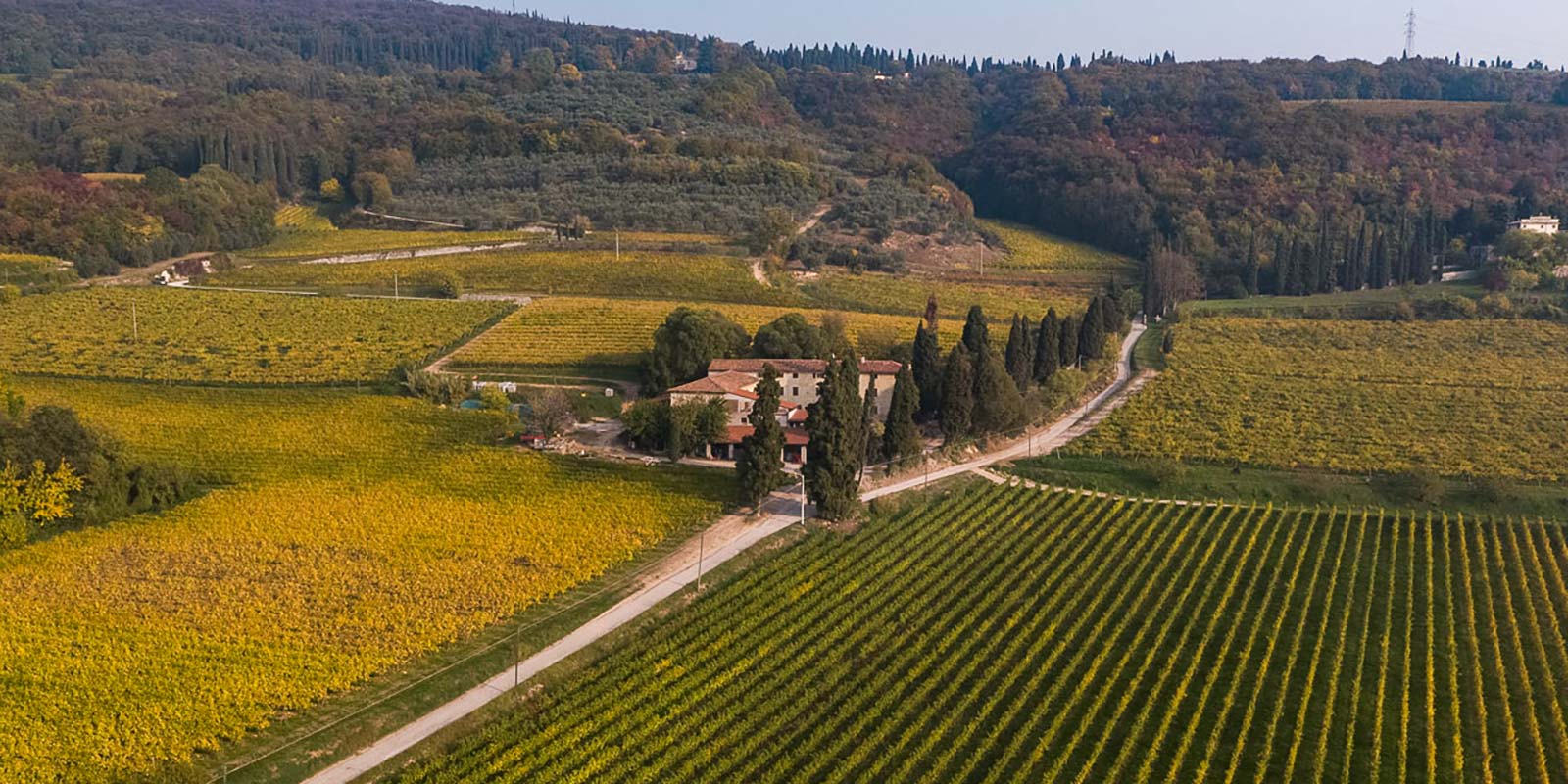 Foto aerea del territorio attorno a Villa San Carlo, ricco di biodiversità di piante